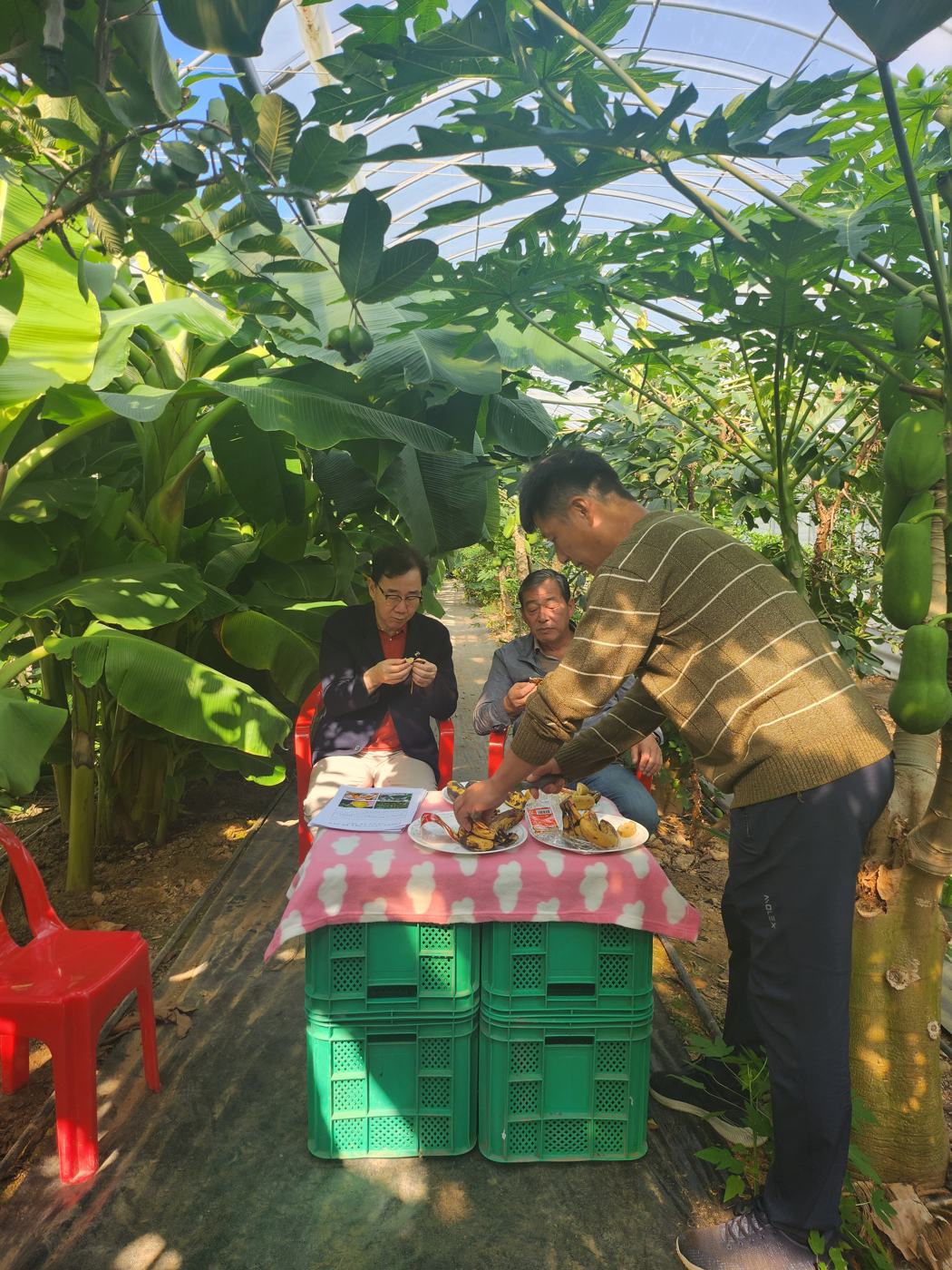 정글 하우스 안 시식 테이블